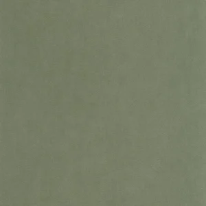 green plain wallpaper from casadeco