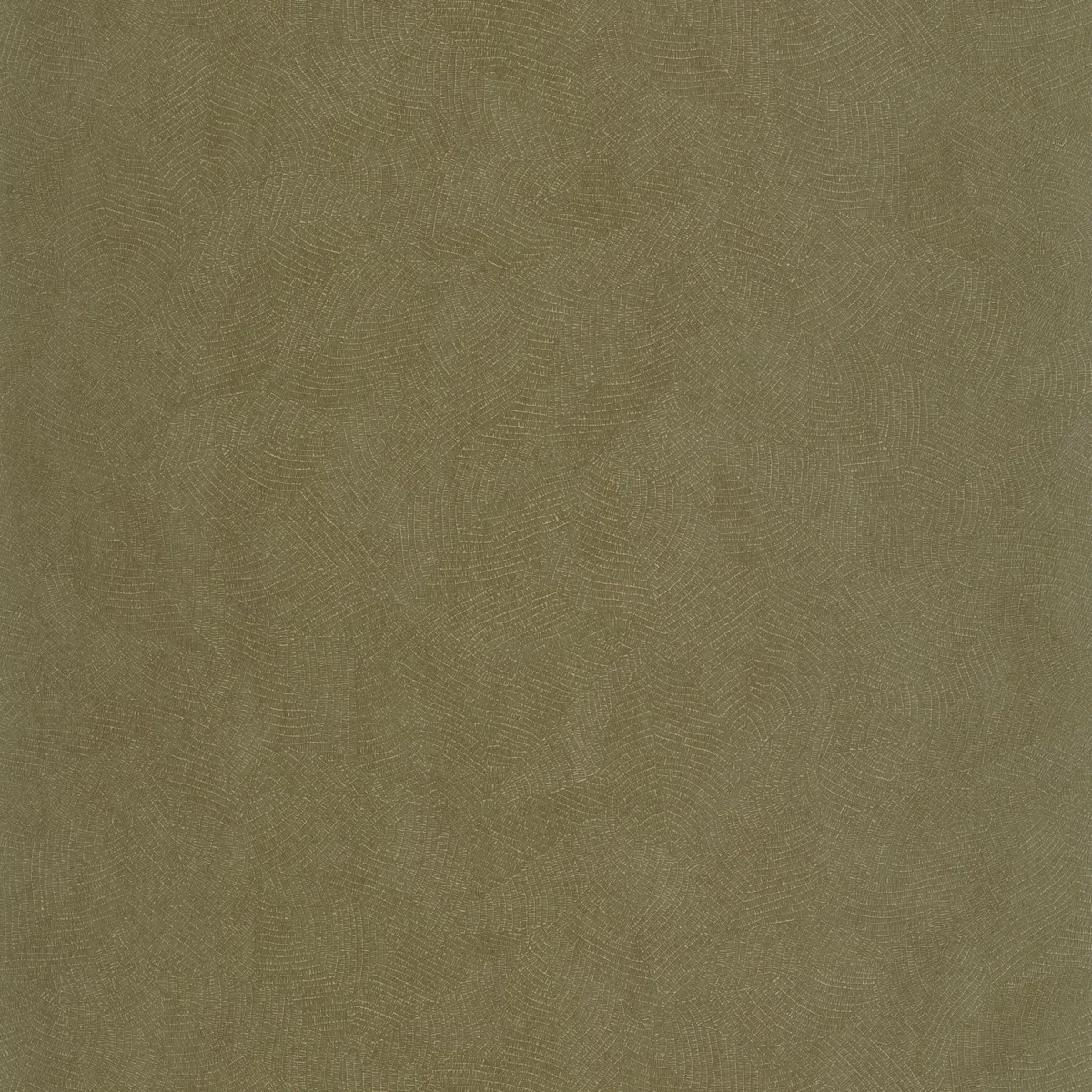 Masaya Wallpaper - Vert Olive by green plain wallpaper from casadeco