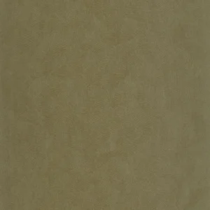 green plain wallpaper from casadeco