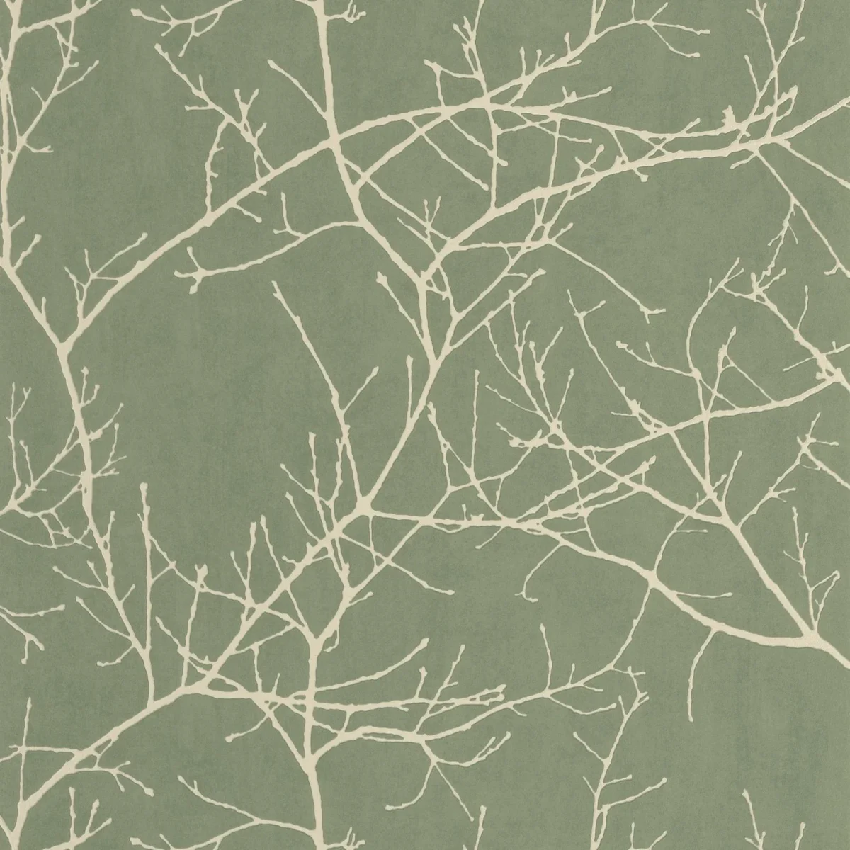 Vancouver Wallpaper - Vert Eucalyptus by green botanical wallpaper from casadeco