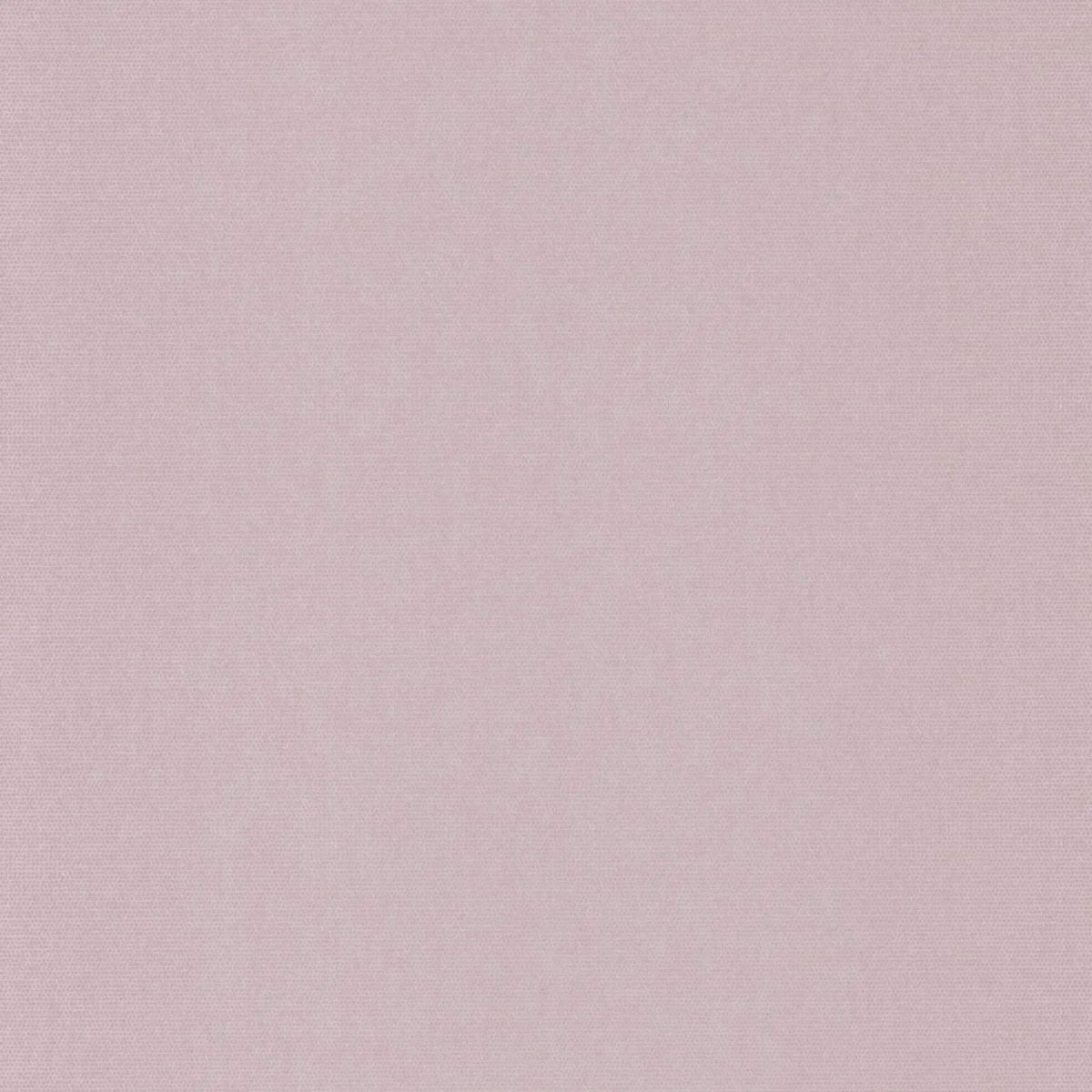 Helsinki Resolution Wallpaper - Uni Lilas by pink plain wallpaper from casadeco