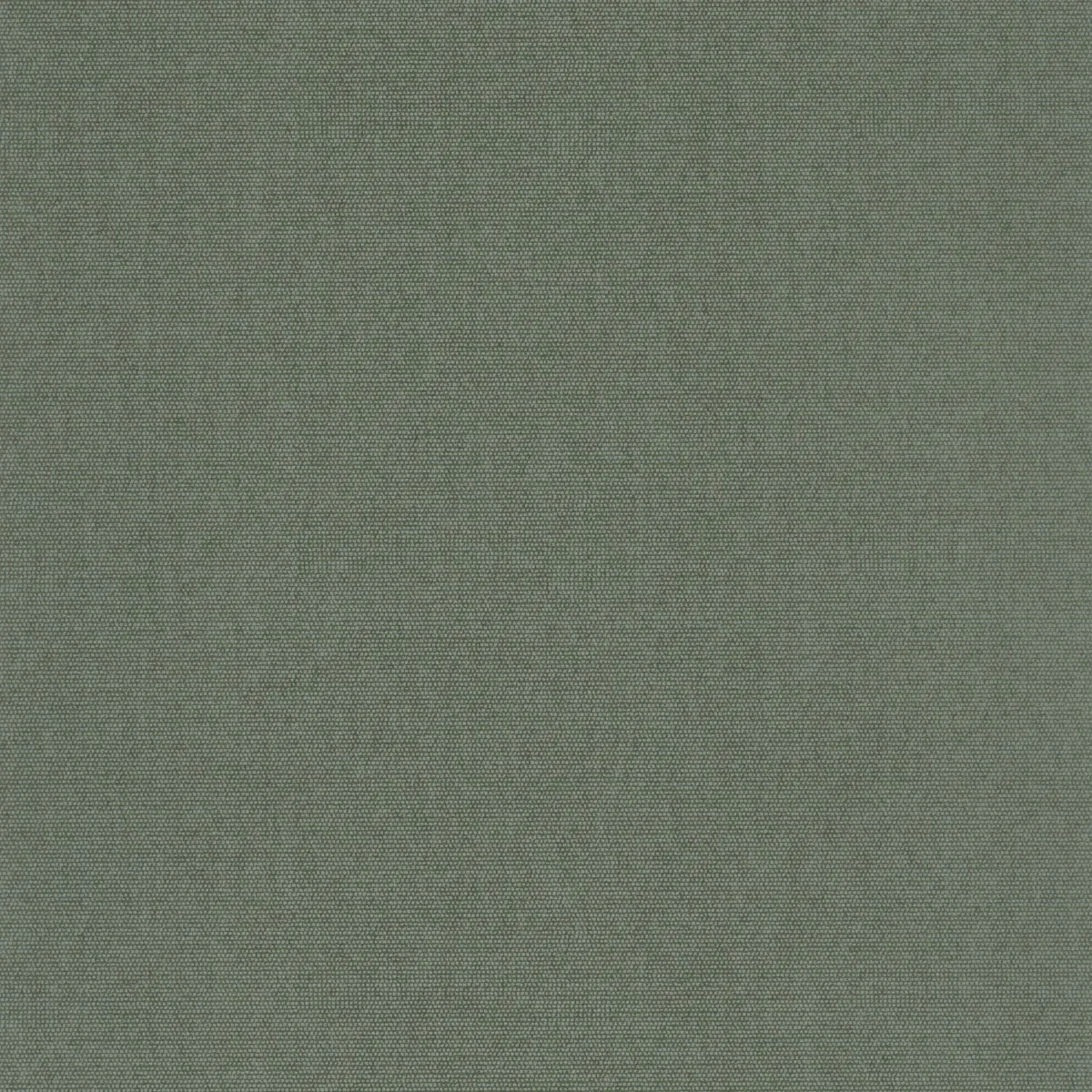 Helsinki Resolution Wallpaper - Uni Eucalyptus by green plain wallpaper from casadeco