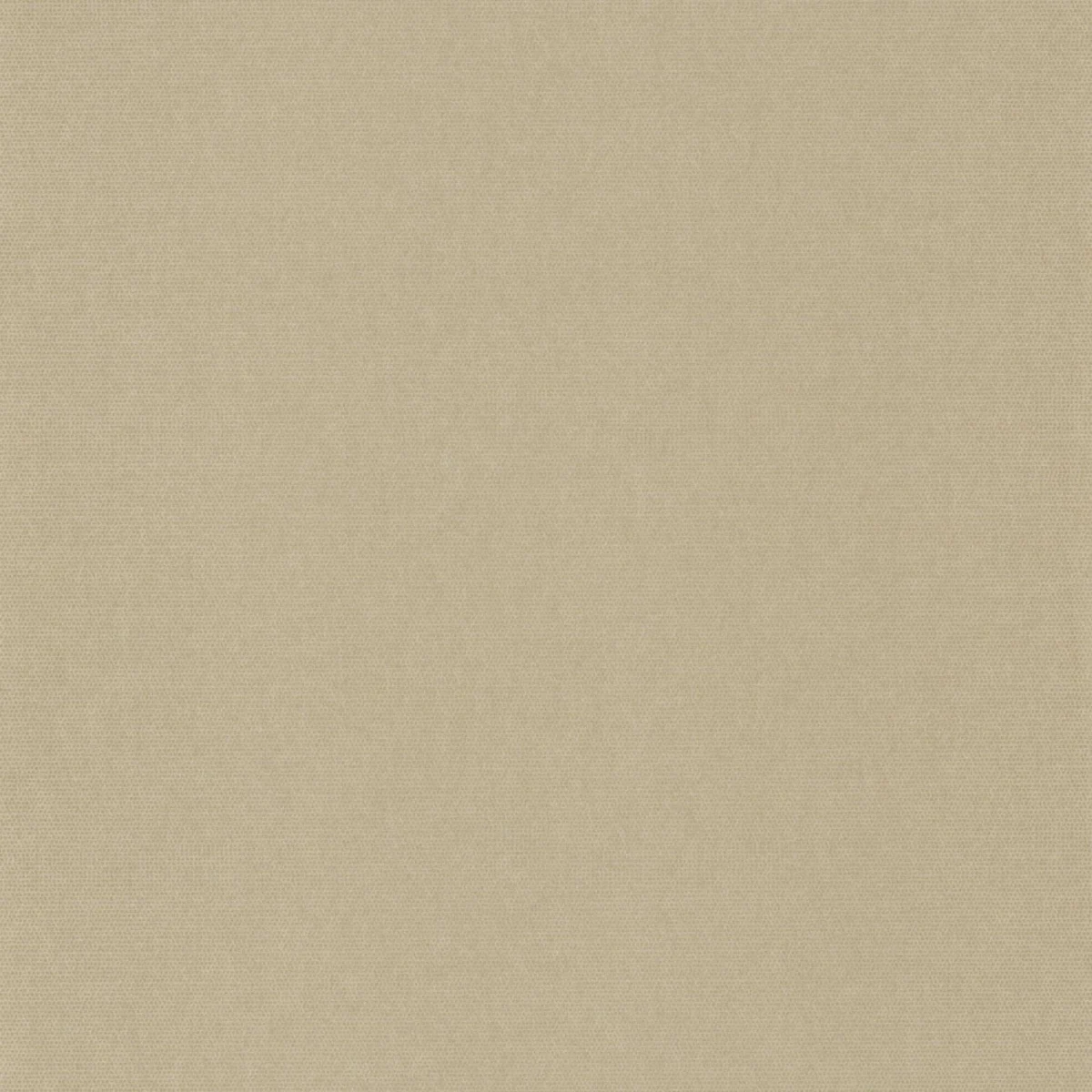 Helsinki Resolution Wallpaper - Uni Ficelle by neutral plain wallpaper from casadeco