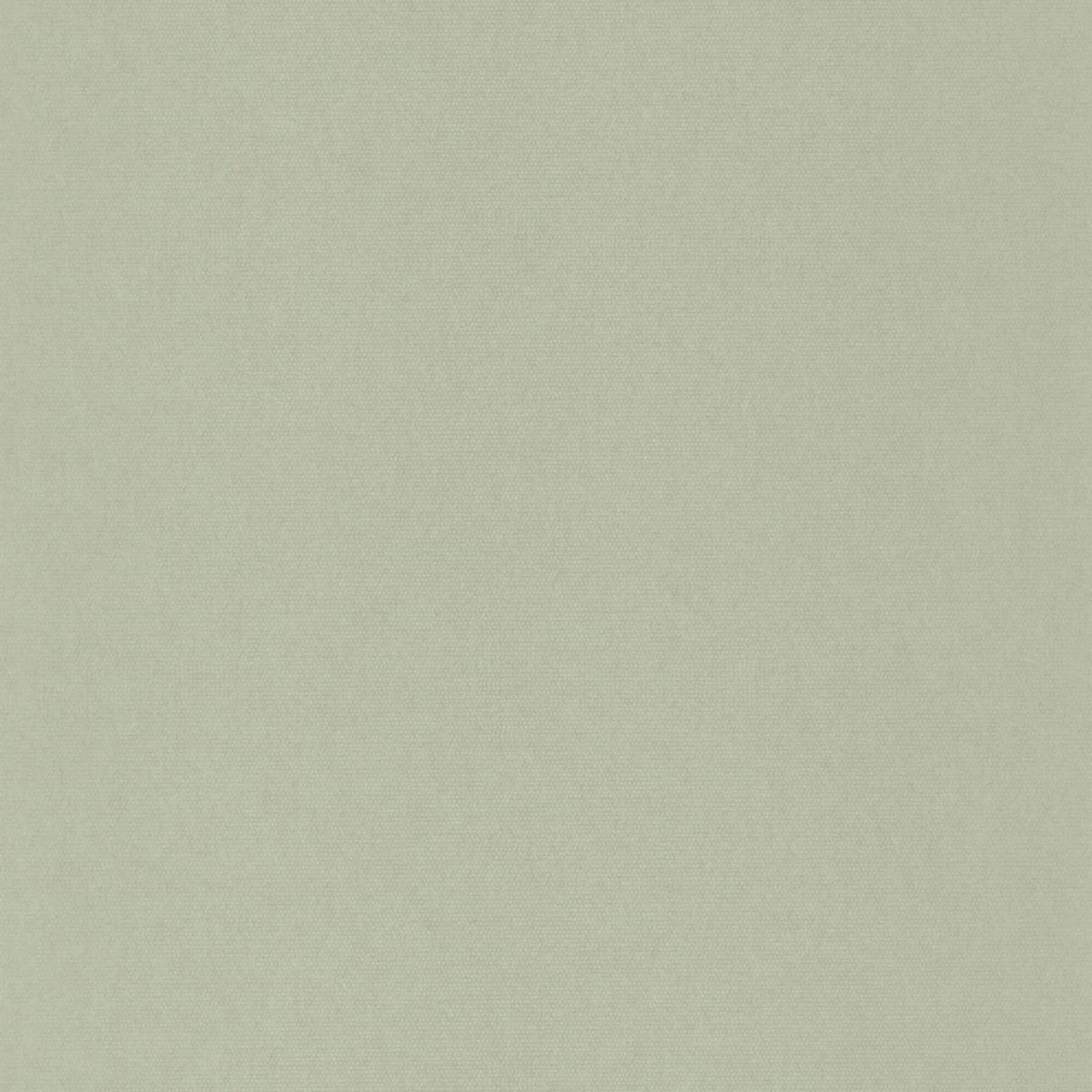 Helsinki Resolution Wallpaper - Uni Amande by green plain wallpaper from casadeco