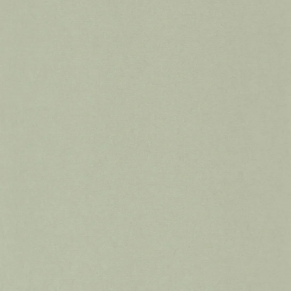 green plain wallpaper from casadeco