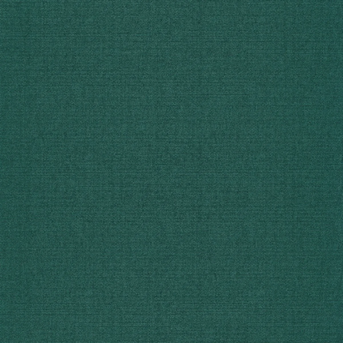 green plain wallpaper from casadeco