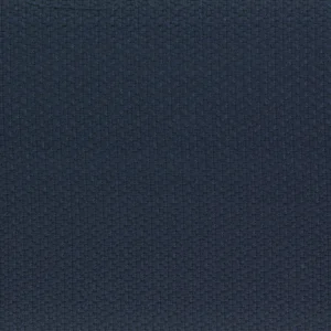 blue misc woven fabric from Casamance