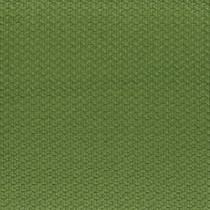 green misc woven fabric from Casamance