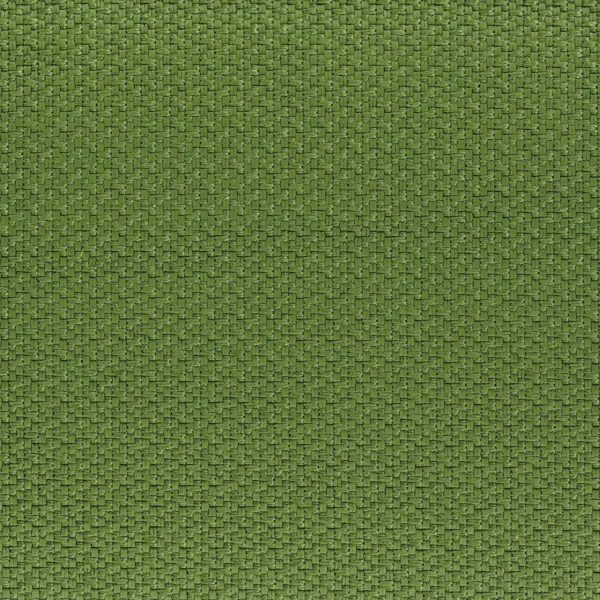 Ziro Fabric - Vert by green misc woven fabric from Casamance