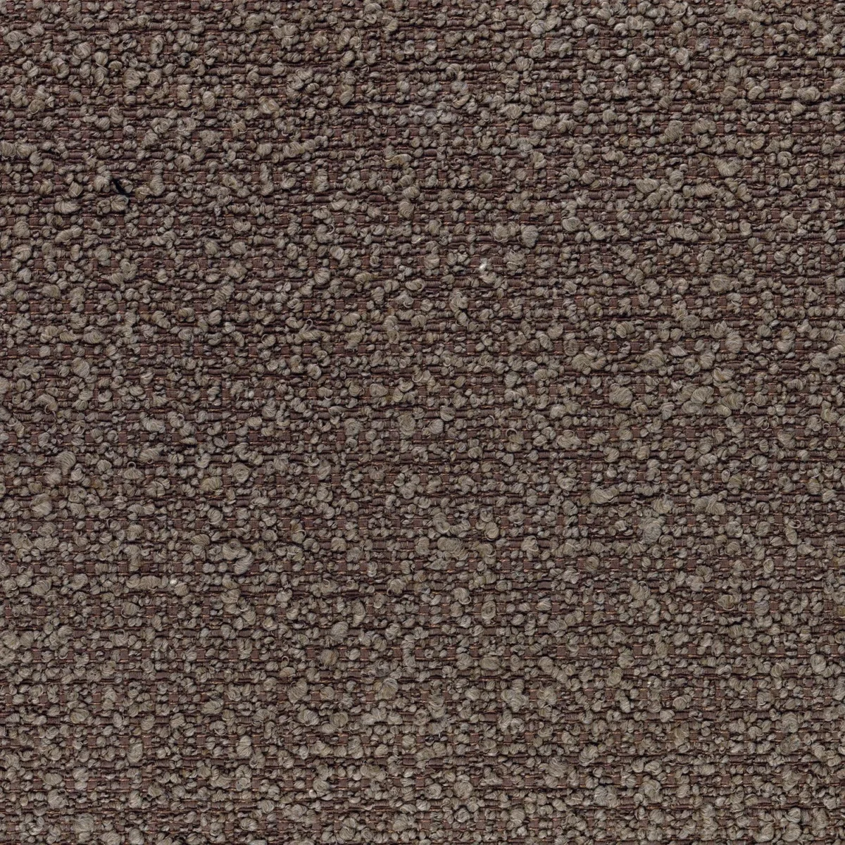 Alpine Fabric - Taupe by brown plain woven fabric from Casamance
