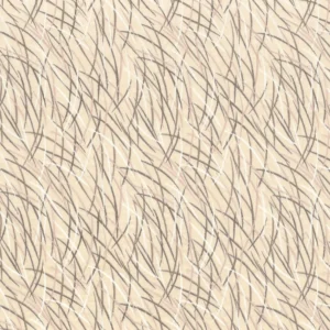 neutral misc embroideried fabric from Casamance