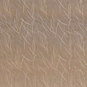 brown misc embroideried fabric from Casamance