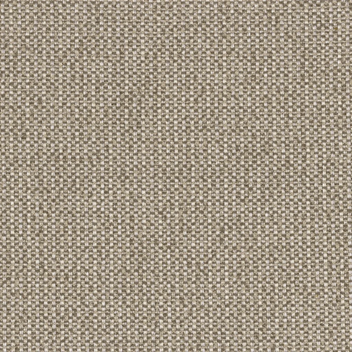 Duo Fabric - Souris by black-grey plain woven fabric from Casamance