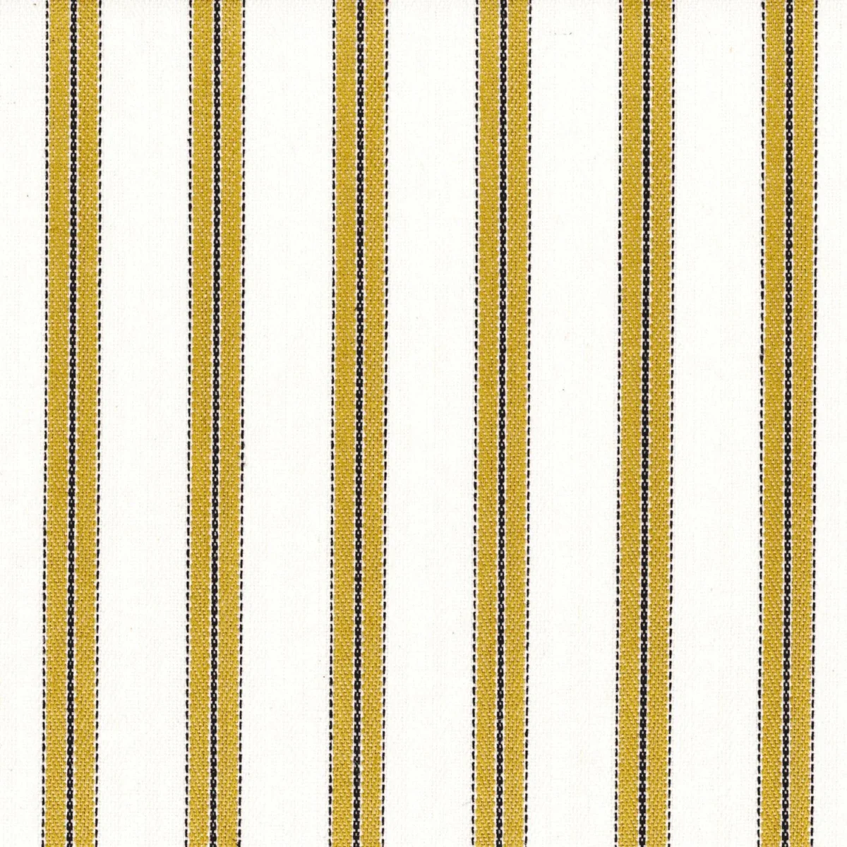 Evora Fabric - Moutarde by yellow striped cotton fabric from Casamance