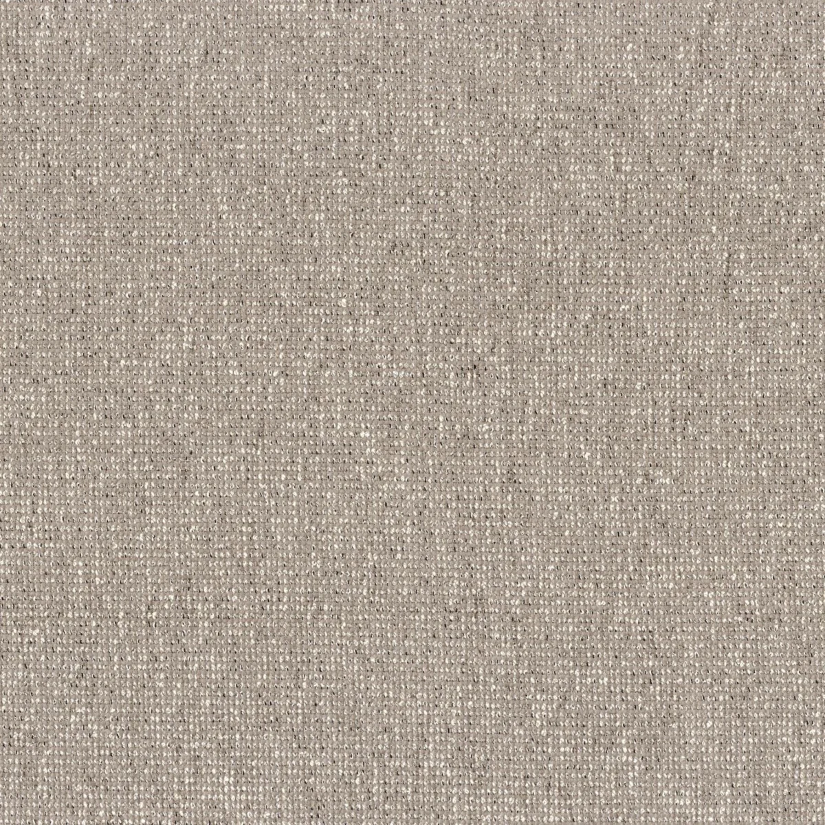 Milonga Fabric - Beige by black-grey plain cotton fabric from Casamance