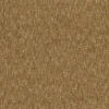 brown plain cotton fabric from Casamance