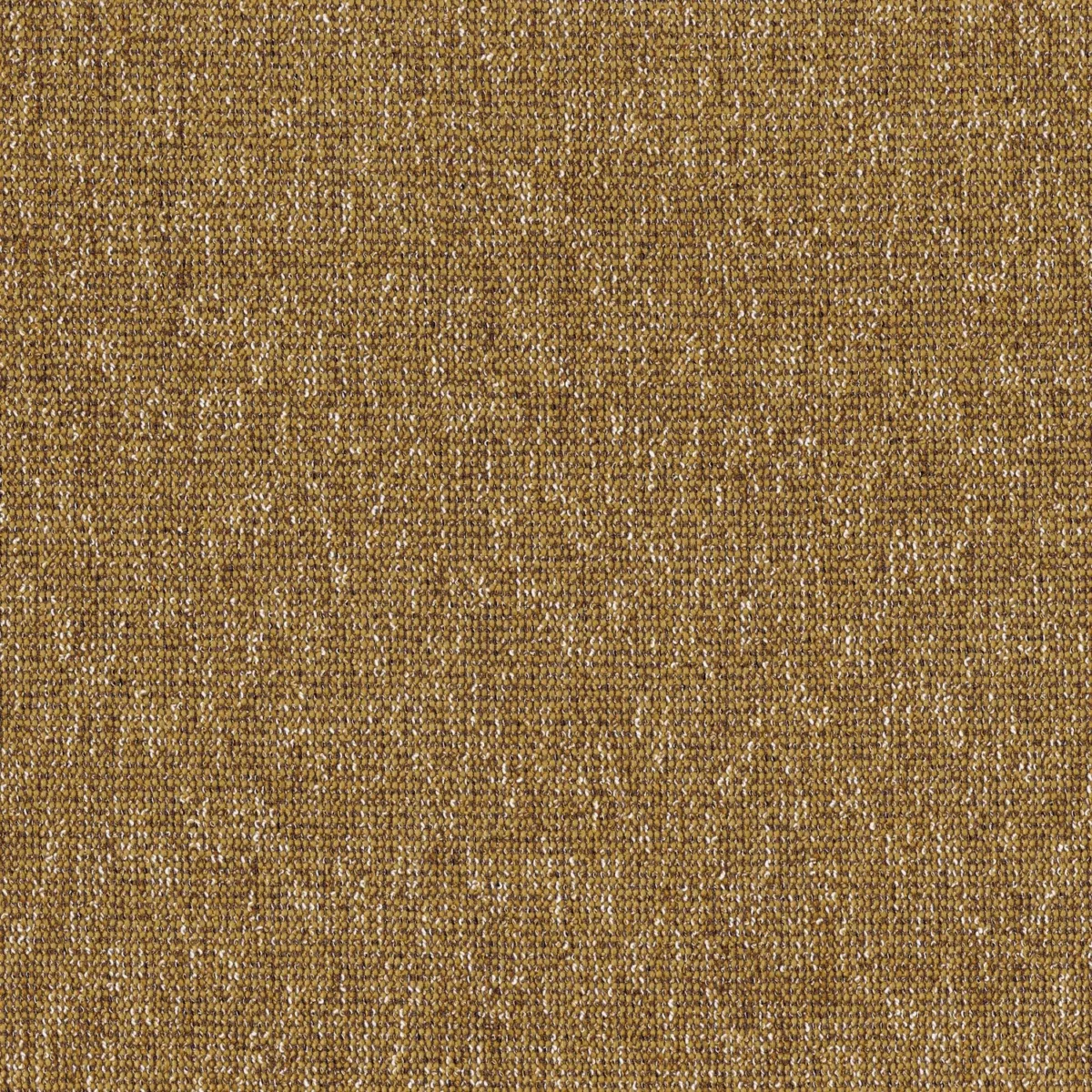 Milonga Fabric - Moutarde by brown plain cotton fabric from Casamance