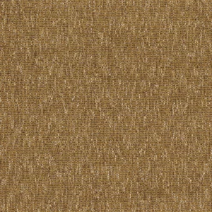 brown plain cotton fabric from Casamance