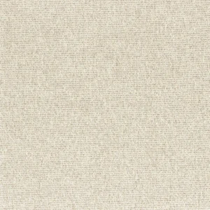 neutral plain cotton fabric from Casamance