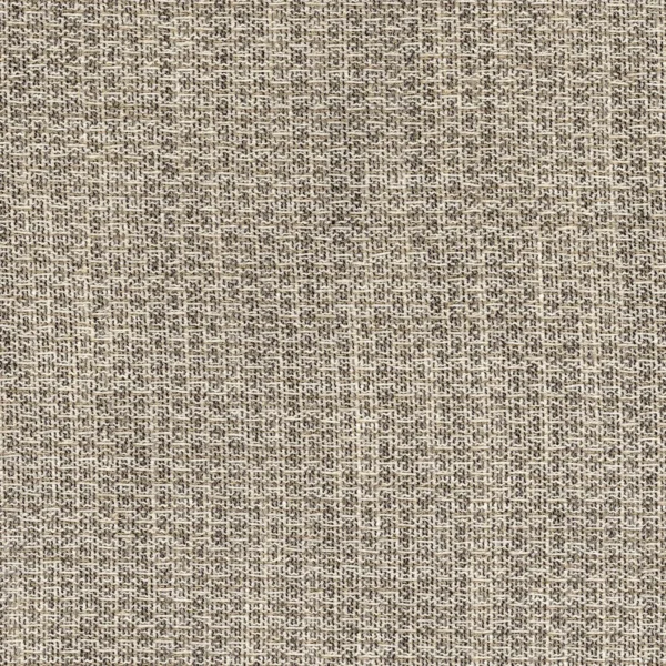 Magnifolia Fabric - Taupe by black-grey striped voile-sheer fabric from Casamance