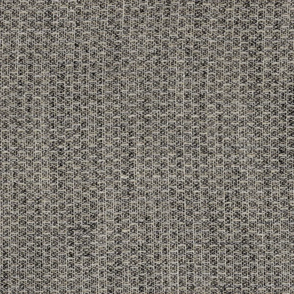 Magnifolia Fabric - Noir De Lune by black-grey striped voile-sheer fabric from Casamance