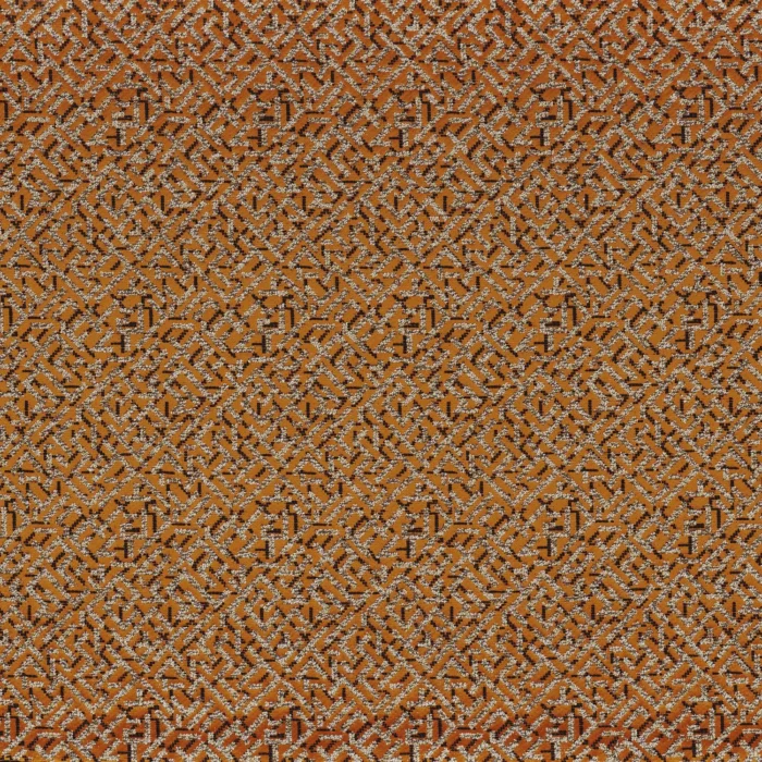 Trait D Union Fabric - Ambre swatch