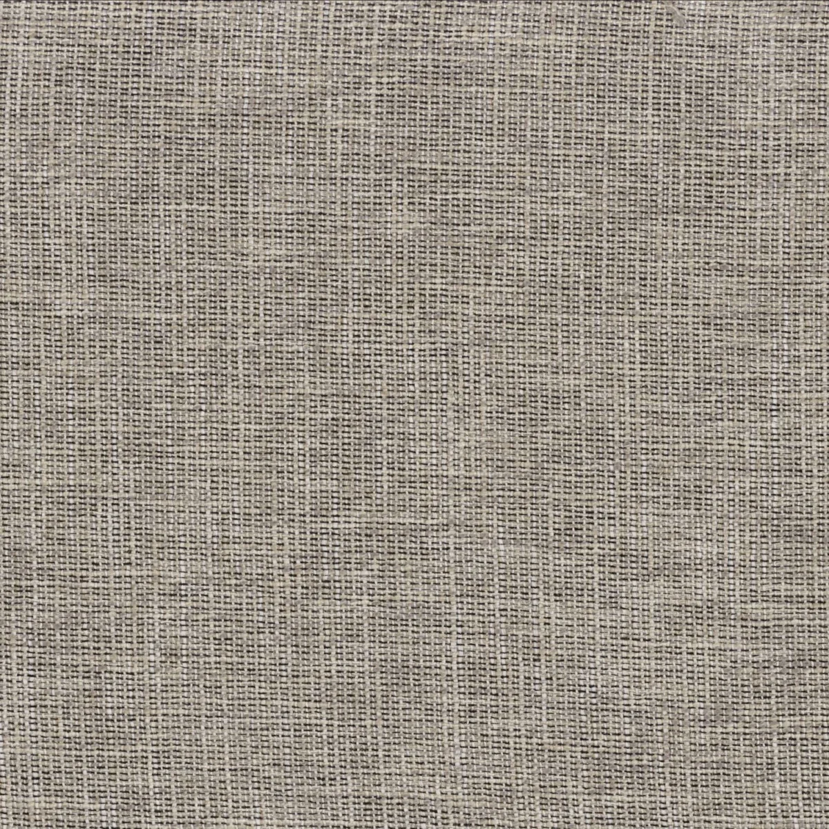 Vivienne Fabric - Noir De Lune by black-grey plain voile-sheer fabric from Casamance