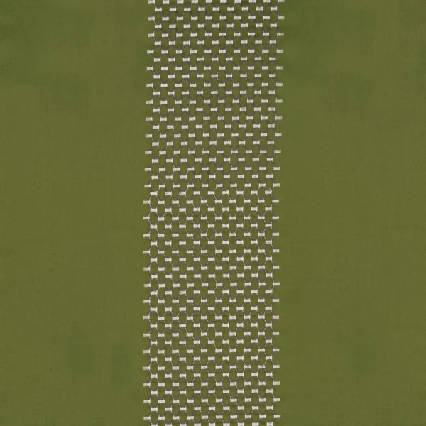 green striped embroideried fabric from Casamance