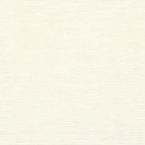 white plain linen fabric from Casamance