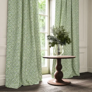 blue checked curtain with cushion and vases