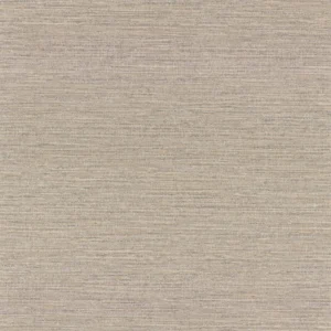 neutral plain wallpaper from casamance