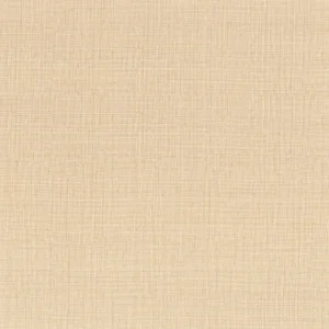 neutral plain wallpaper from casamance