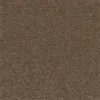brown plain wallpaper from casamance