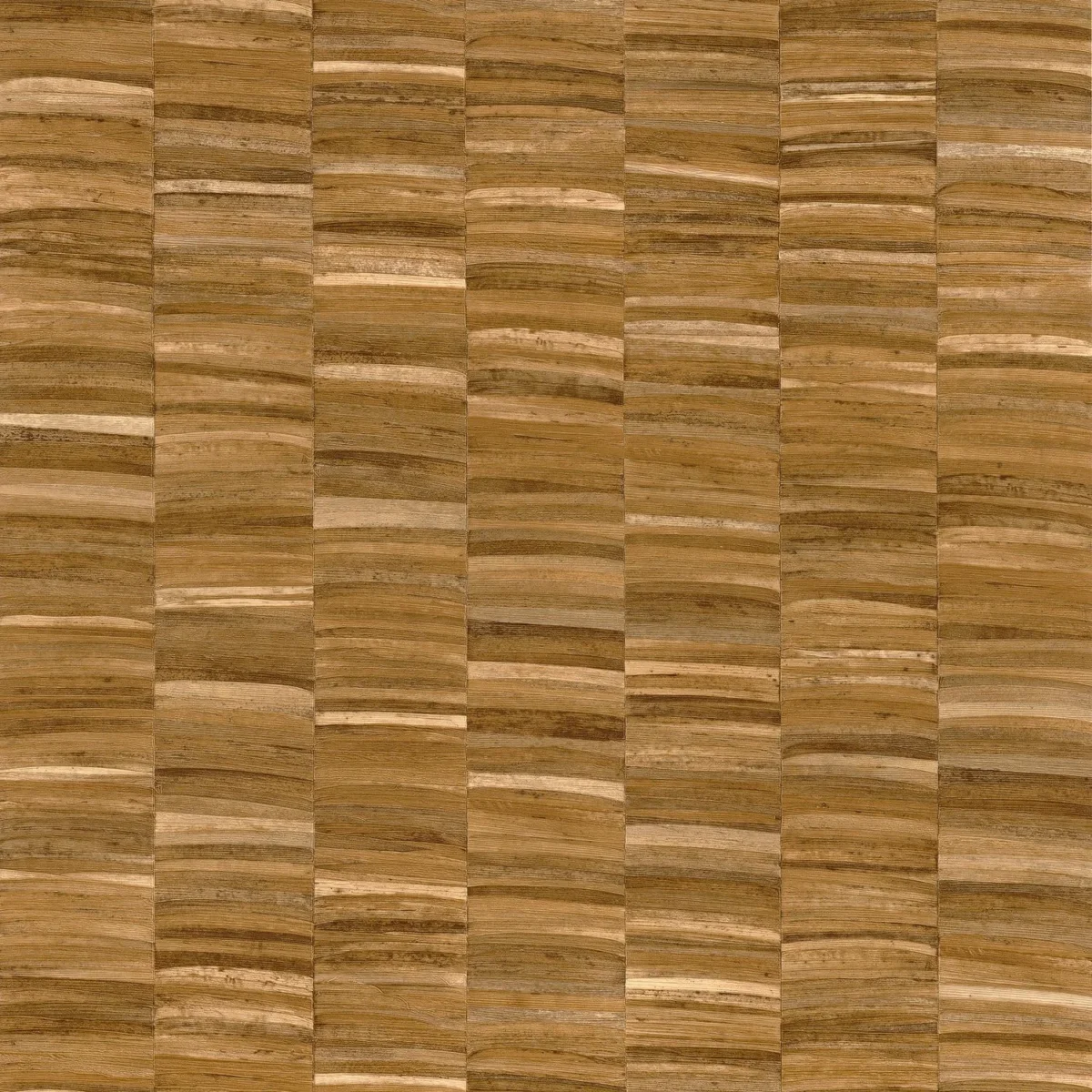 Stylosa Wallpaper - Ocre by brown misc wallpaper from casamance