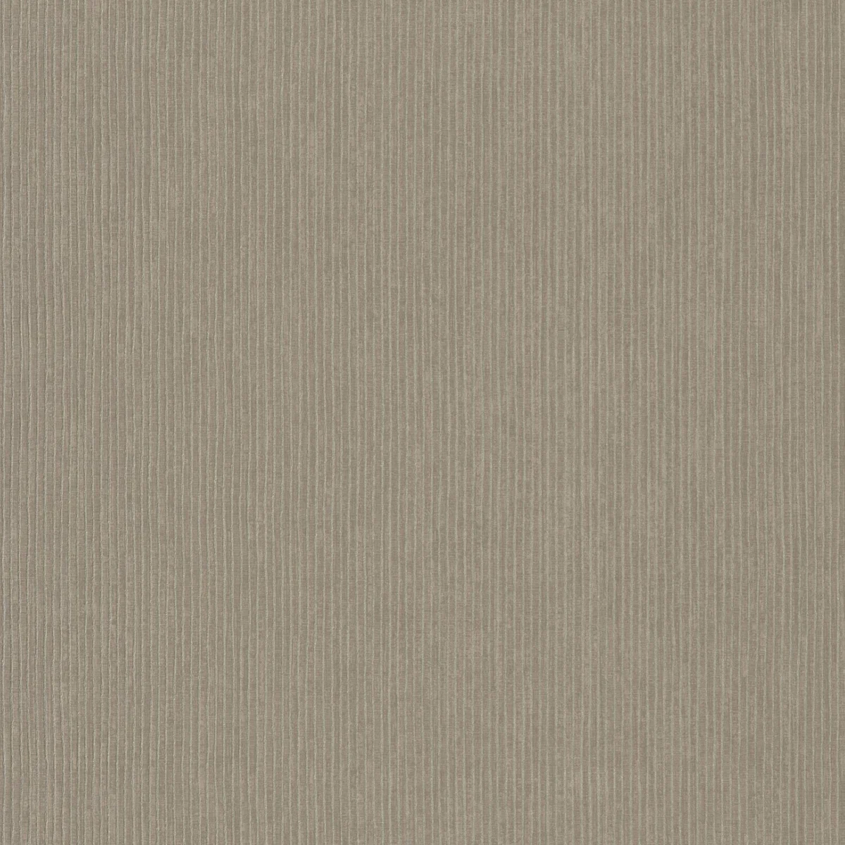 black-grey striped wallpaper from casamance