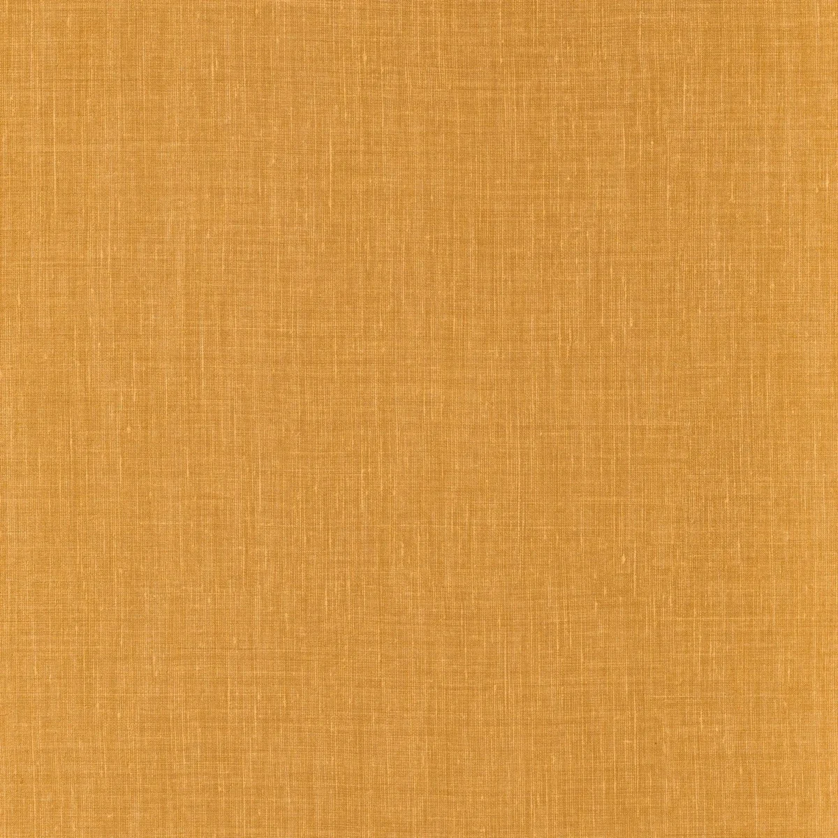 orange plain wallpaper from casamance
