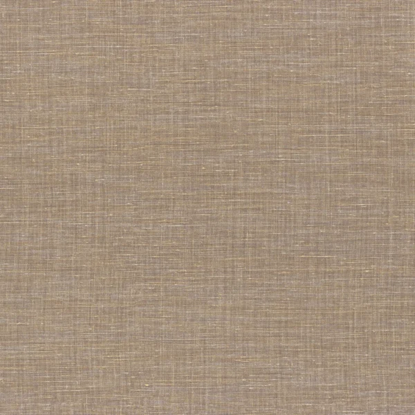 Shinok Wallpaper - Beige Taupe by brown plain wallpaper from casamance