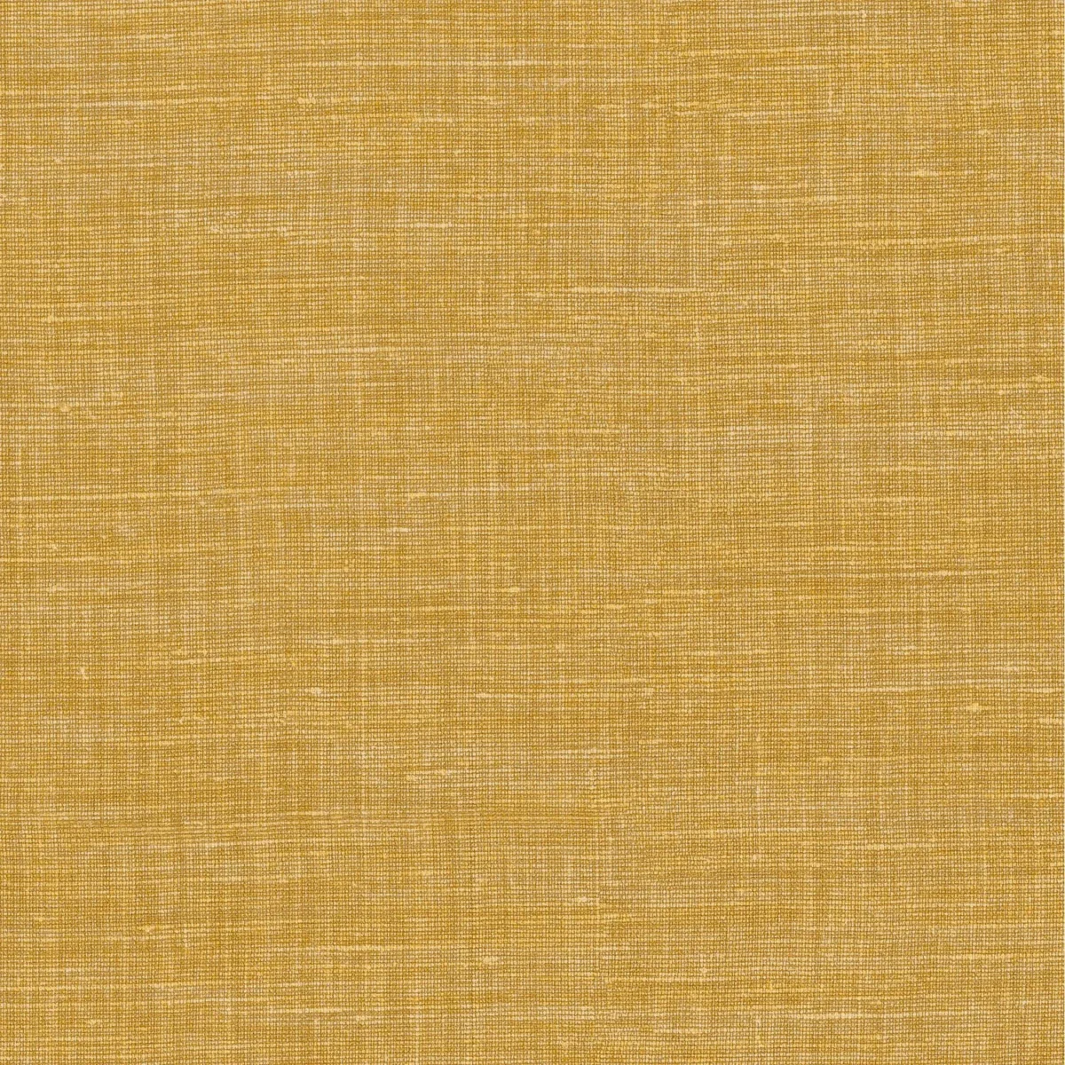 yellow plain wallpaper from casamance