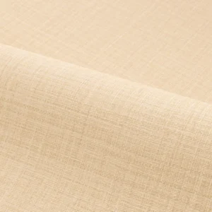 neutral plain wallpaper and wave with wallpaper