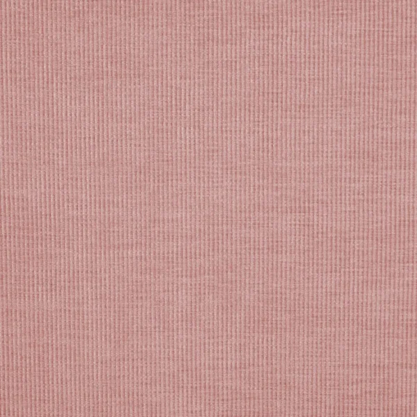 Cord Fabric - Petal by pink plain velvet-chenille fabric from Prestigious Textiles