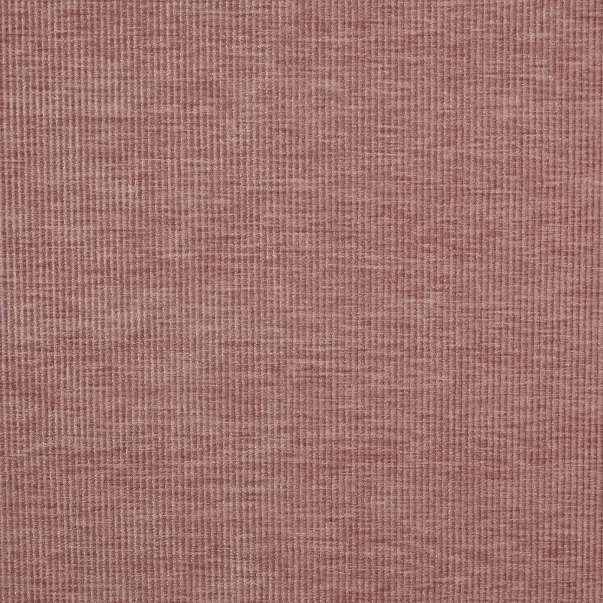 Cord Fabric - Woodrose by pink plain velvet-chenille fabric from Prestigious Textiles