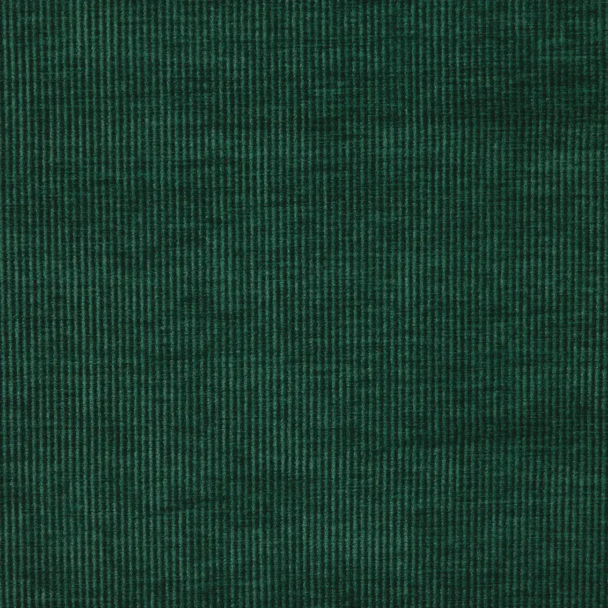 Cord Fabric - Spruce by blue plain velvet-chenille fabric from Prestigious Textiles