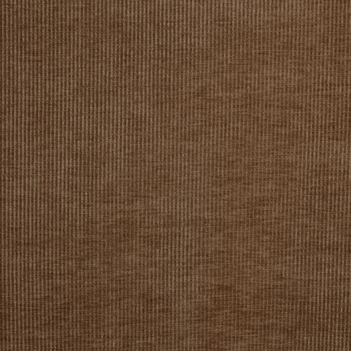 Cord Fabric - Hazel by brown plain velvet-chenille fabric from Prestigious Textiles
