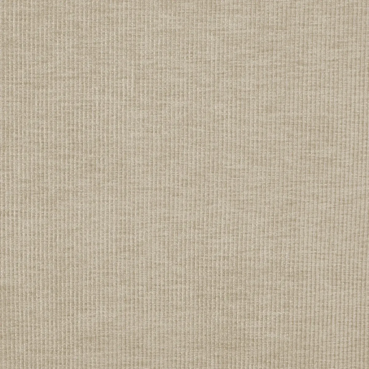 Cord Fabric - Sand by neutral plain velvet-chenille fabric from Prestigious Textiles