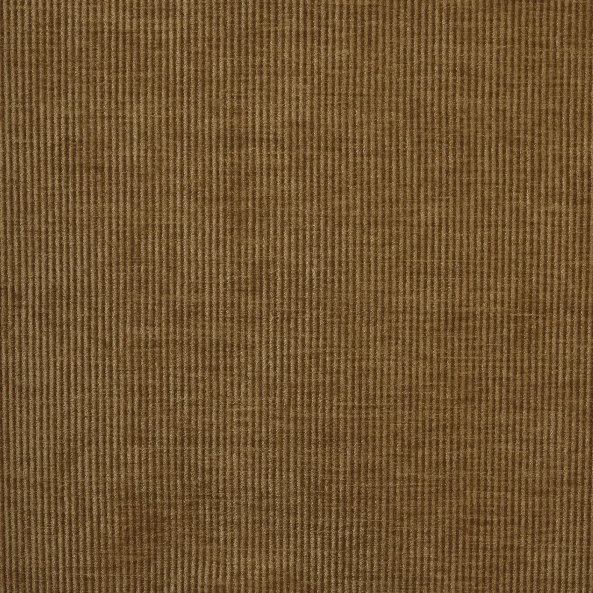 brown plain velvet-chenille fabric from Prestigious Textiles
