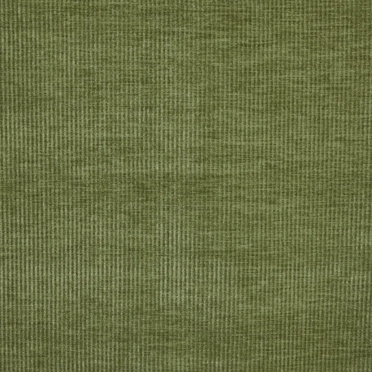 Cord Fabric - Khaki by green plain velvet-chenille fabric from Prestigious Textiles