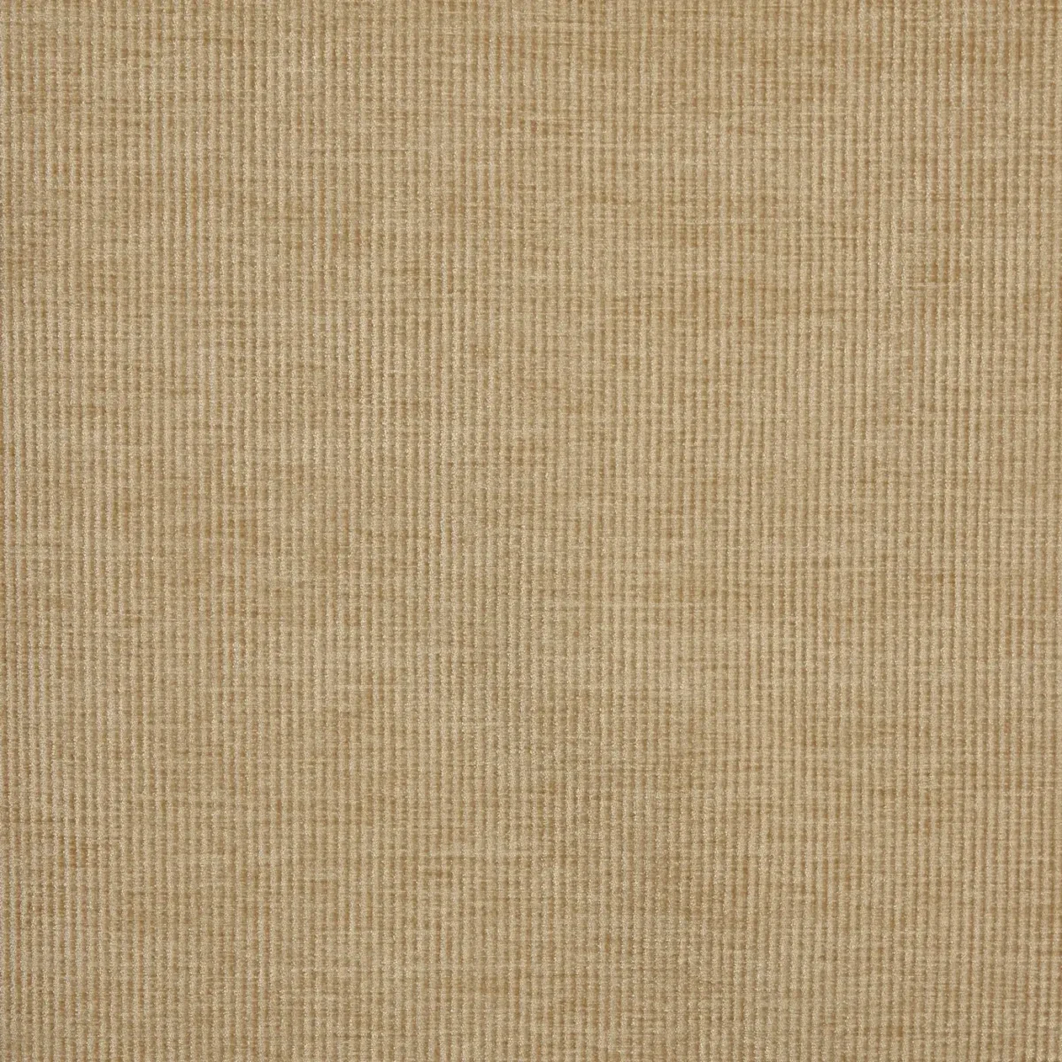 Cord Fabric - Pampas by yellow plain velvet-chenille fabric from Prestigious Textiles