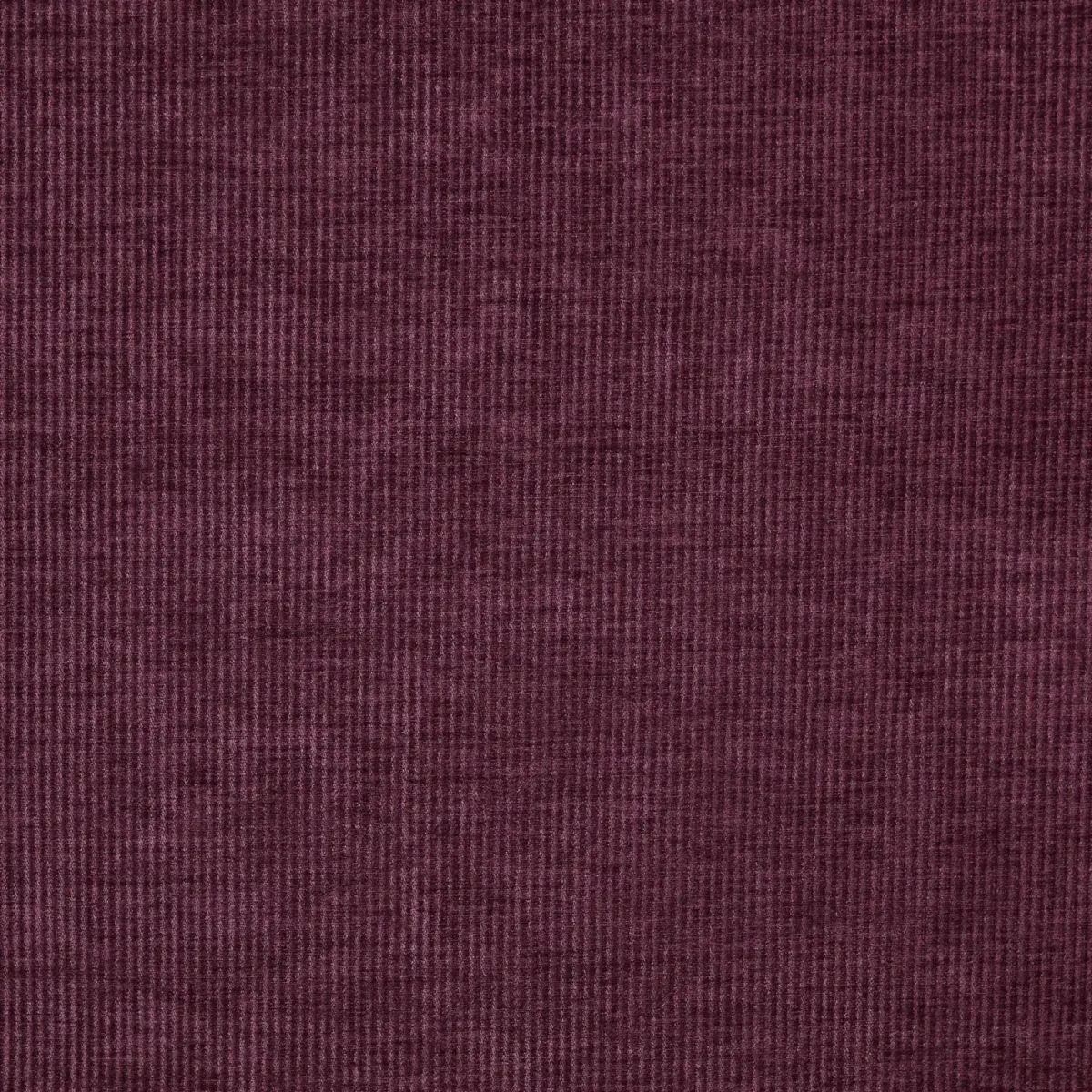 Cord Fabric - Plum by purple plain velvet-chenille fabric from Prestigious Textiles