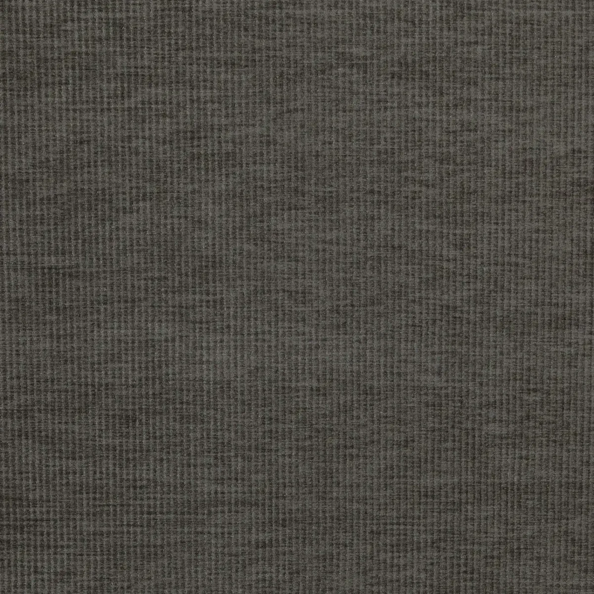 Cord Fabric - Flint by black-grey plain velvet-chenille fabric from Prestigious Textiles