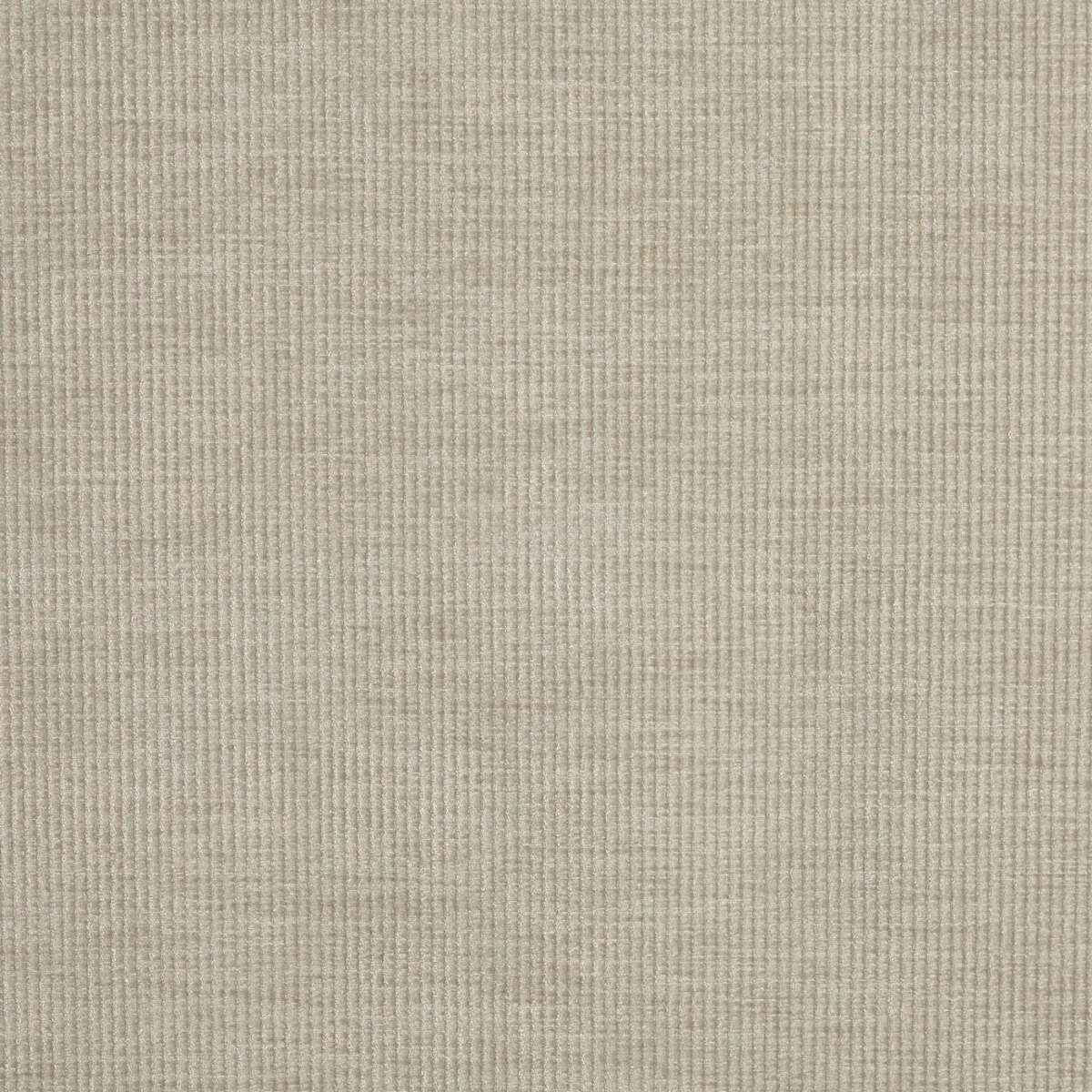 Cord Fabric - Mushroom by neutral plain velvet-chenille fabric from Prestigious Textiles